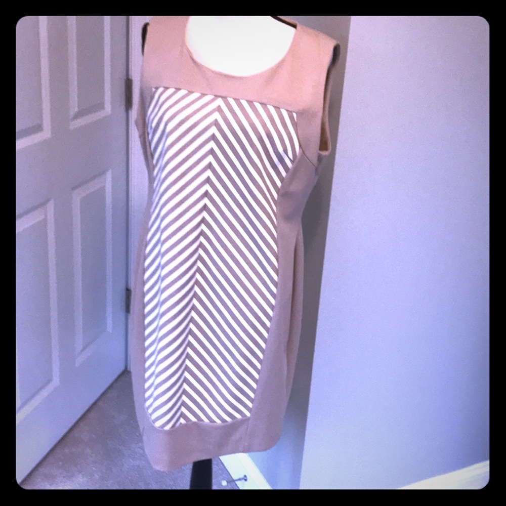 Calvin Klein Taupe Striped Dress